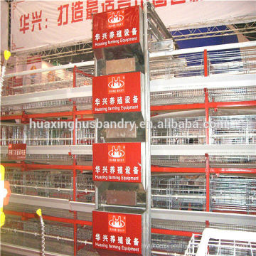 Professional suppliers for chicken egg poultry farm